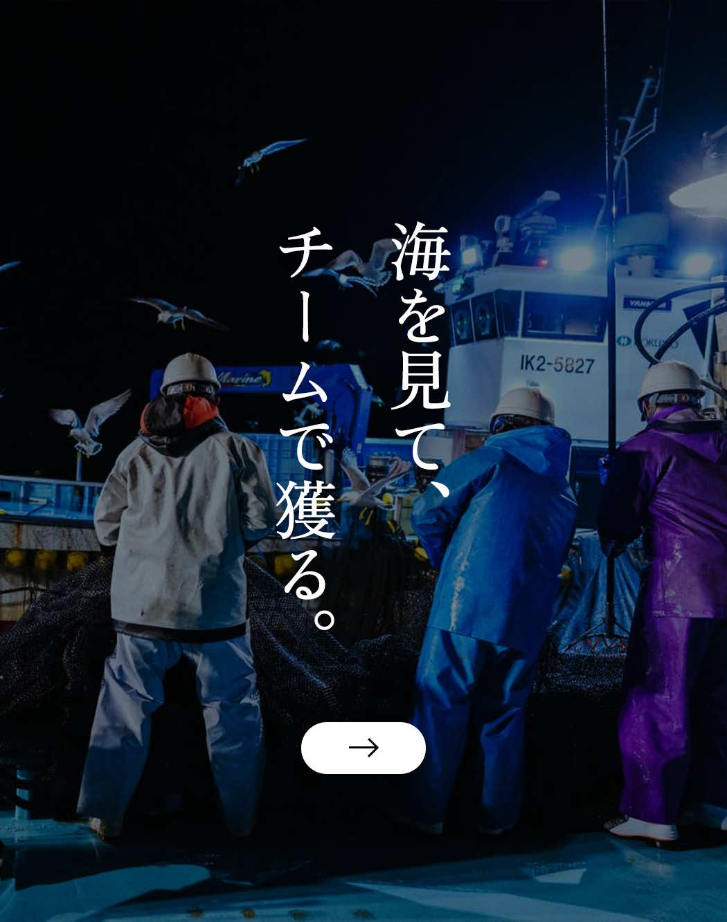 海を見て、チームで獲る。