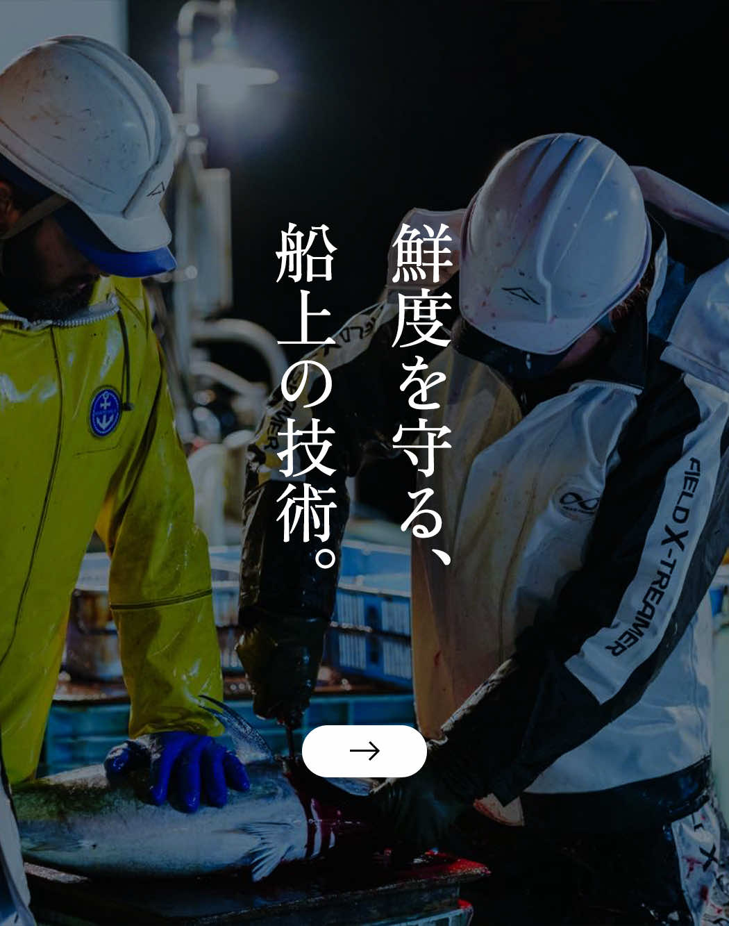 鮮度を守る、船上の技術。