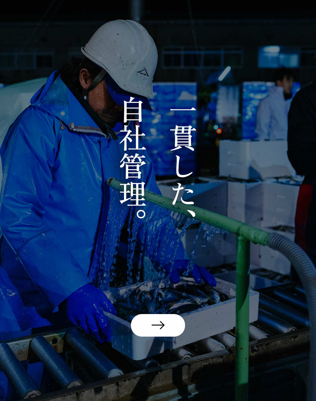 水揚げから箱詰めまで一貫した自社管理