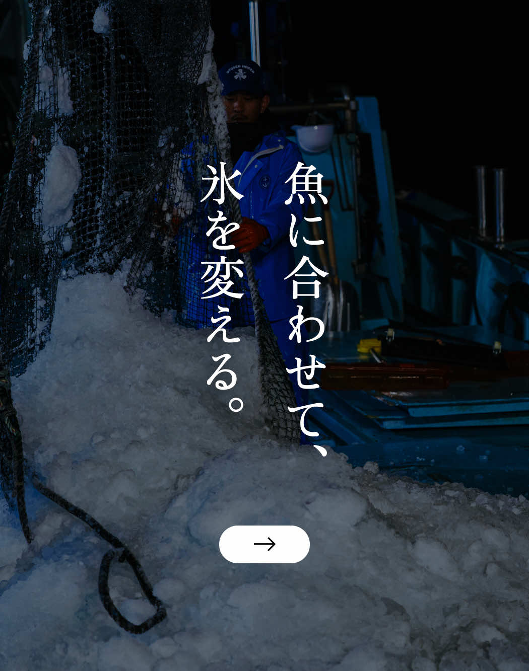 魚に合わせて、氷を変える。